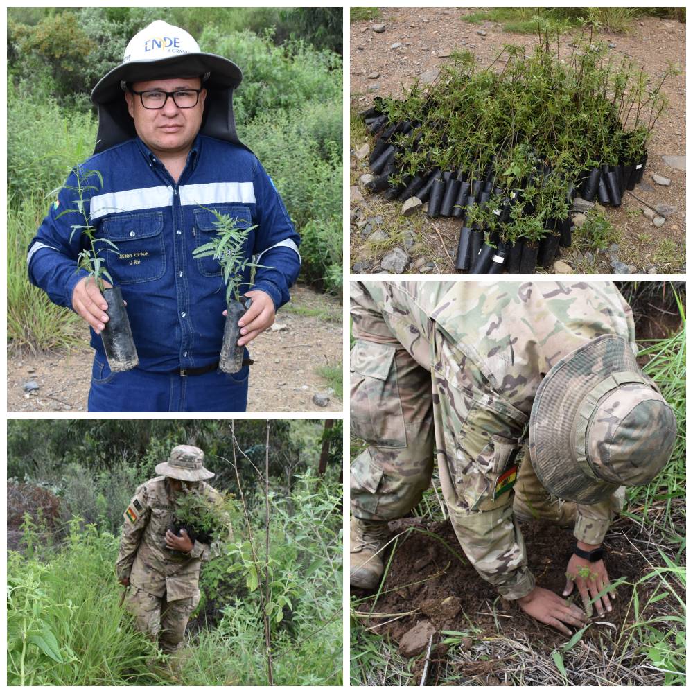 FOTO NOTA REFORESTACION PNT