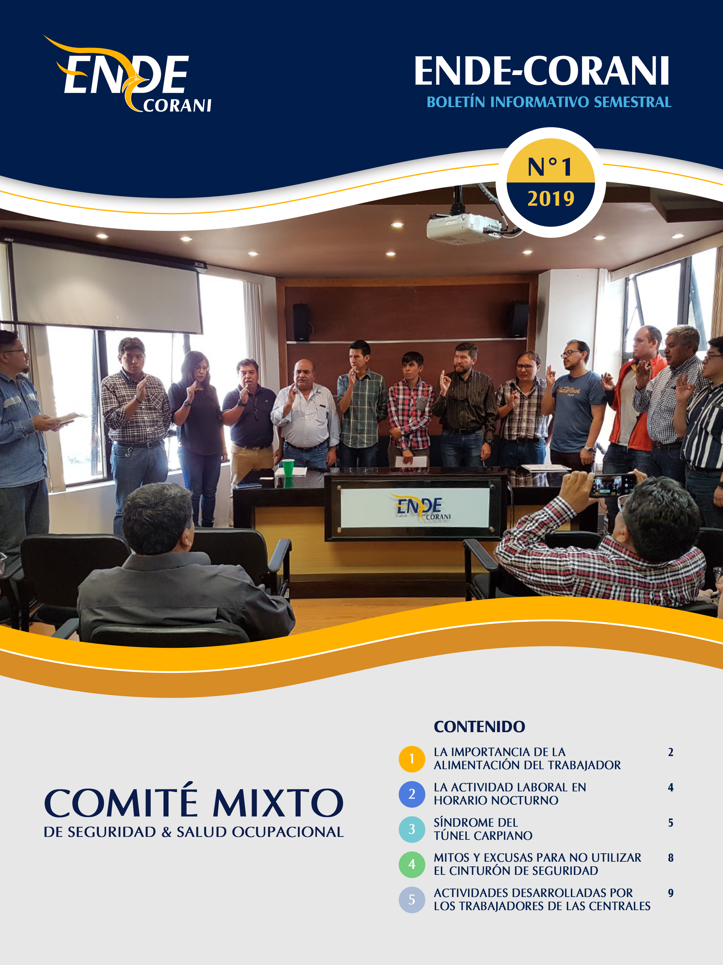 BOLETIN N 1 COMITE MIXTO SySO