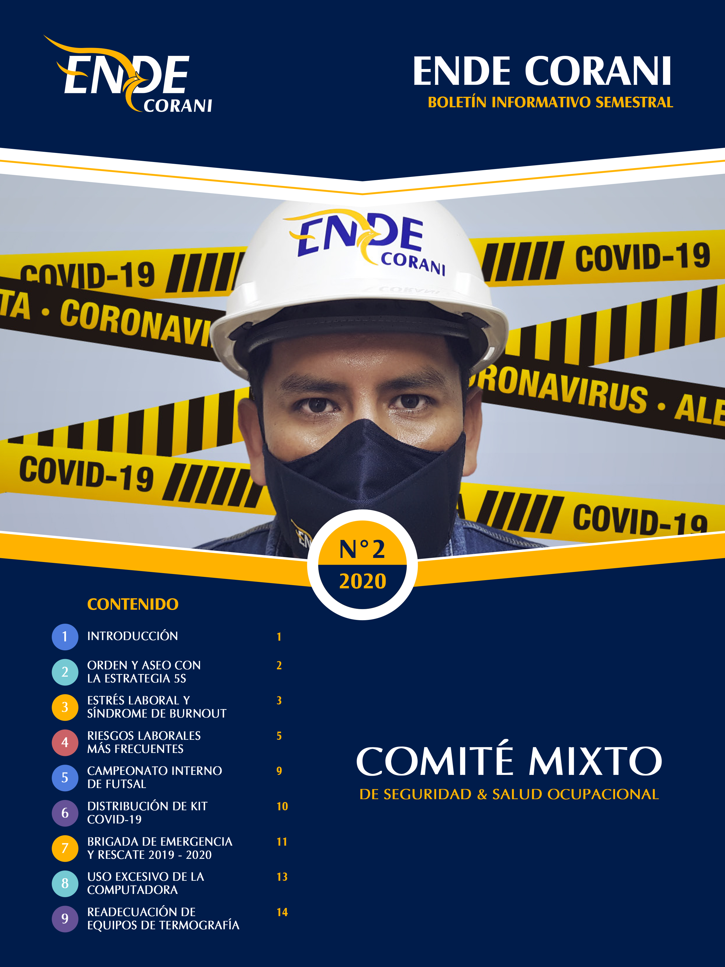 BOLETIN N 2 COMITE MIXTO SySO