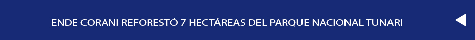 CABECERA CORANI REFORESTACION